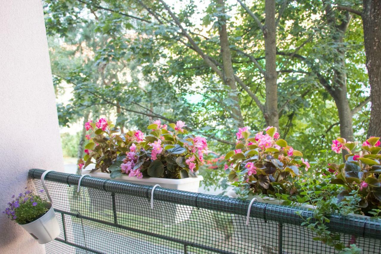 Apartman Ante Винковцы Экстерьер фото